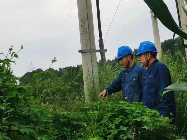 國網(wǎng)長春供電公司積極應(yīng)對極端天氣，確保線路設(shè)備穩(wěn)定運(yùn)行
