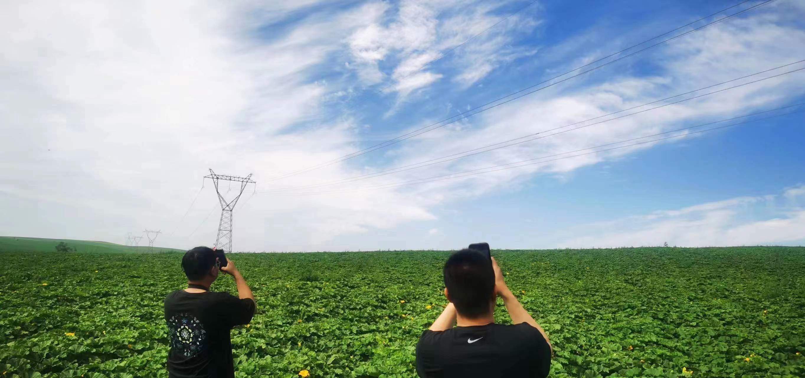 四子王輸變電管理處：防外力破壞，助安全運(yùn)行