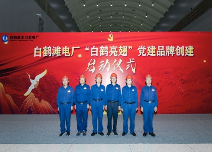 三峽集團一個集體、三名個人榮獲中央企業(yè)“兩優(yōu)一先”表彰