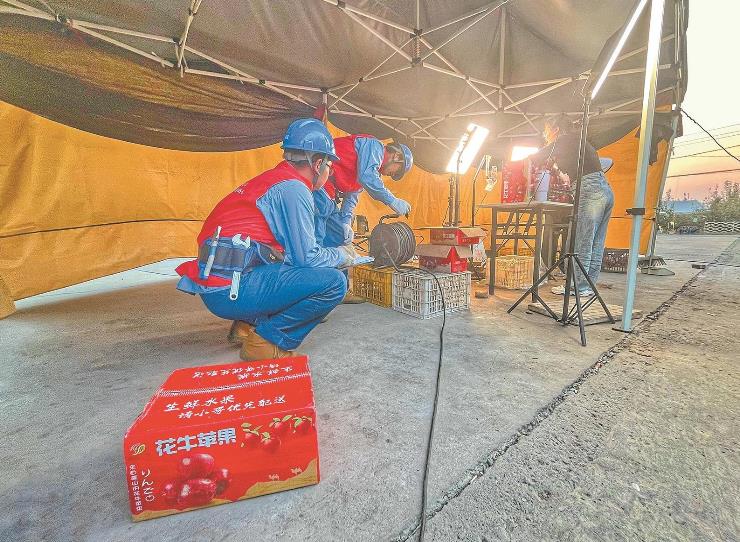 國網臨猗縣供電公司全產業(yè)鏈用電可靠，水果大縣果飄香